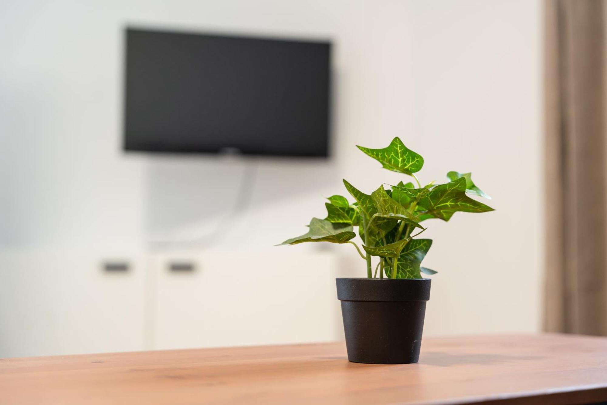 Central Living Apartments - Wielemansgasse Wien Ngoại thất bức ảnh